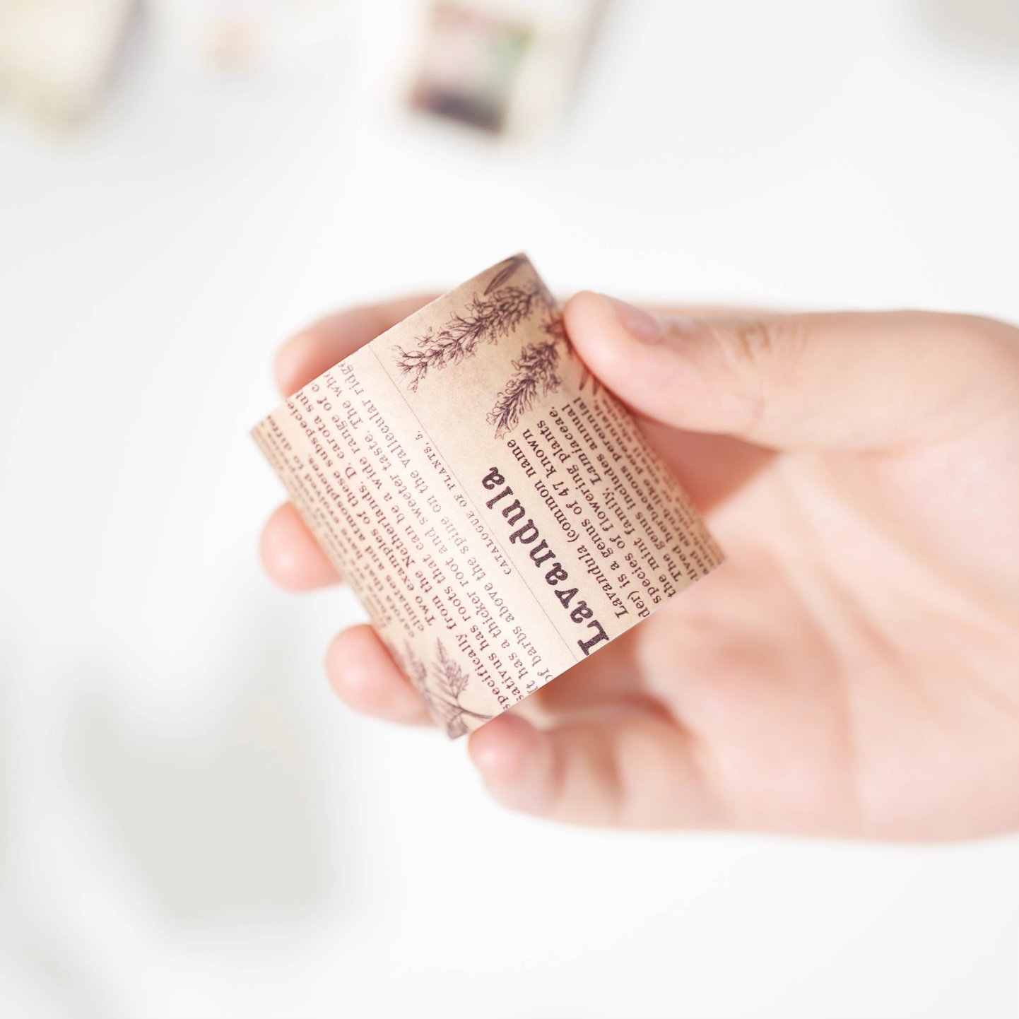THE WASHI TAPE SHOP Fragrance Chronicles Washi Tape Set (5m x 4 Rolls)