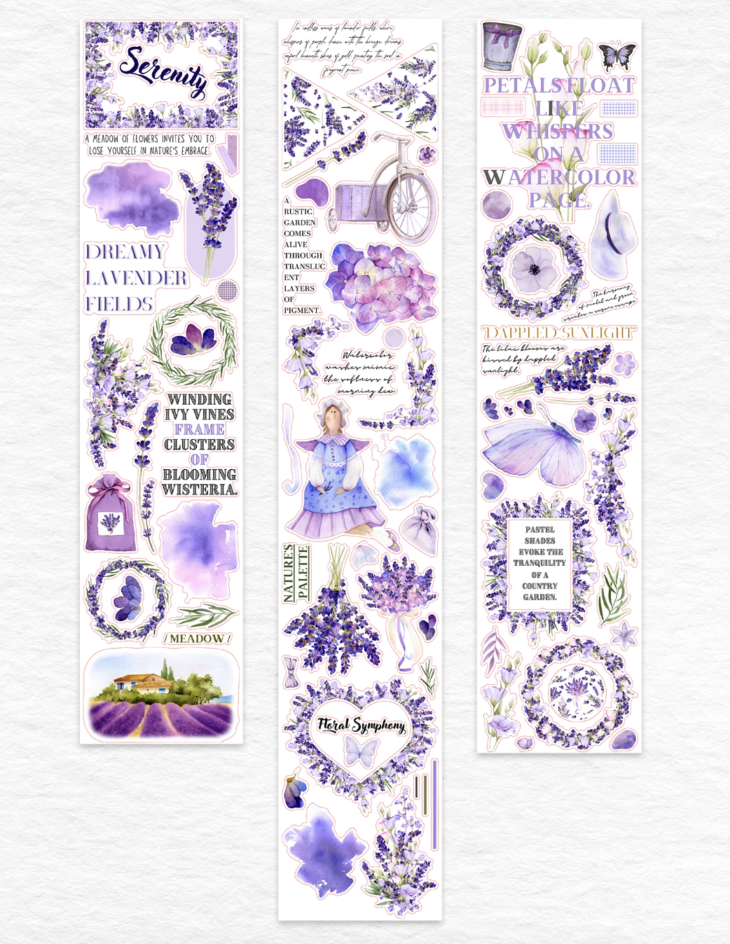 Provence PET Washi Tape 5m - TARLBS